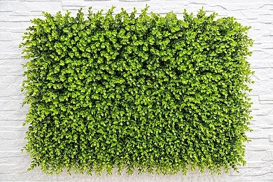 索尼疑在PlayStation商店中采用动态游戏定价策略